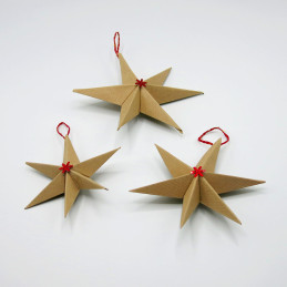 Stelle di Natale decorative...