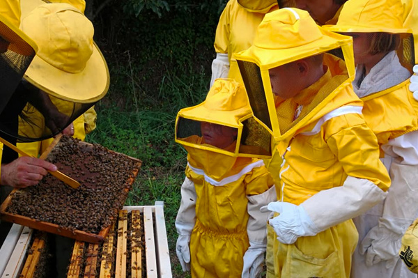 bambini durante esperienza didattica con le api